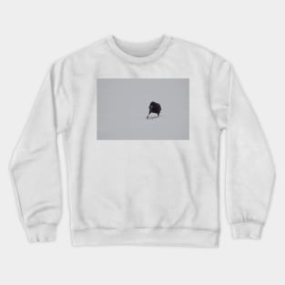 Crow in the Snow Crewneck Sweatshirt